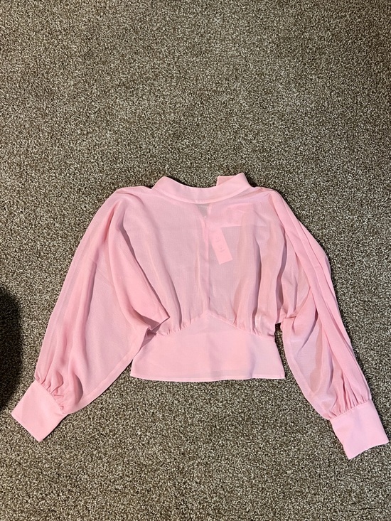 Zara Tops - Zara Light Pink Sheer Balloon-Sleeve Blouse